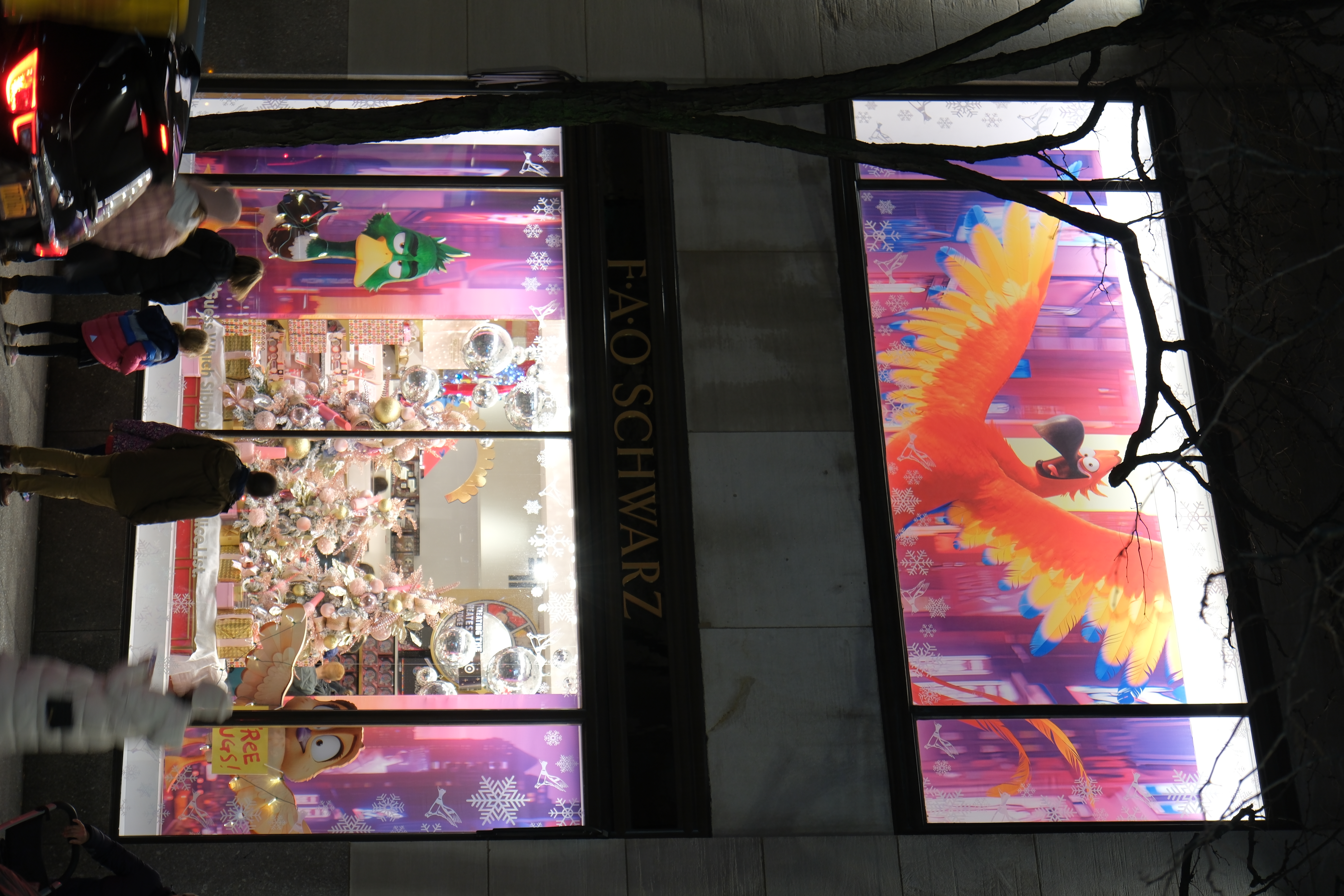 Migration - Image 6